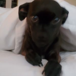 Meet your Posher, Wanda